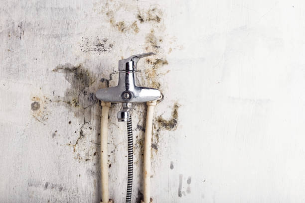 Best Emergency Mold Remediation in Mableton, GA