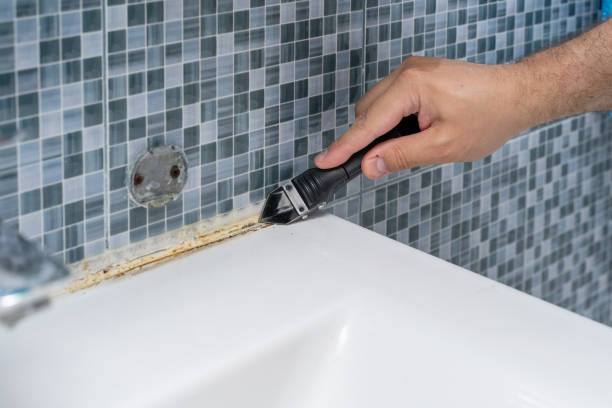 Best Basement Mold Remediation in Mableton, GA